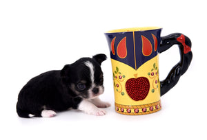 Adonis Extreme Doll Face Boy