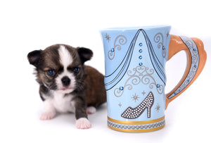 Dior Teacup Boy