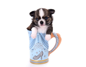 Dior Teacup Boy