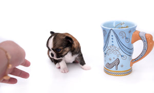 Dior Teacup Boy