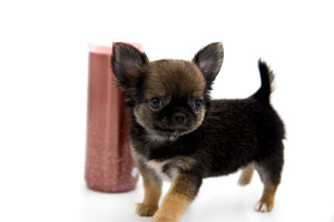 Mercedes Blue Sable LC Girl