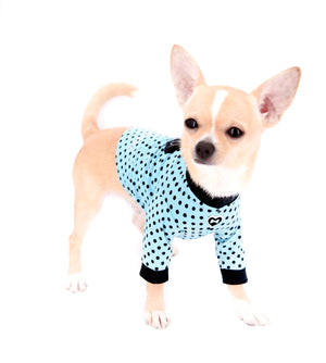 Liam Marcus Teacup Short Muzzle SC Boy