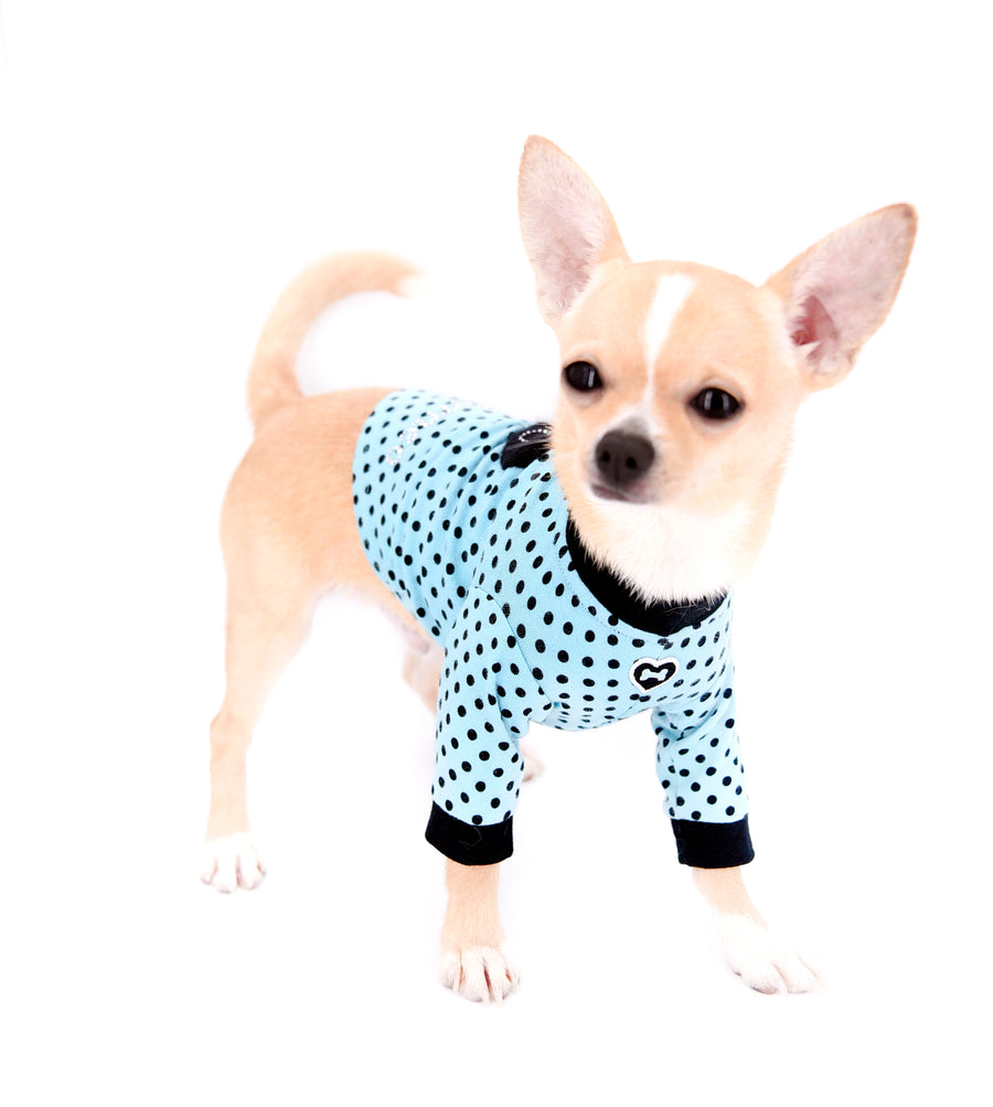 Liam Marcus Teacup Short Muzzle SC Boy
