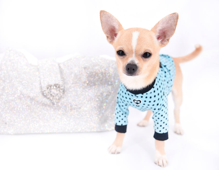 Liam Marcus Teacup Short Muzzle SC Boy