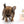 German Sable LC Boy