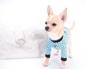 Liam Marcus Teacup Short Muzzle SC Boy