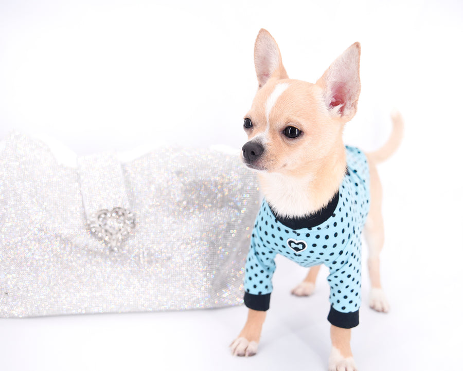 Liam Marcus Teacup Short Muzzle SC Boy