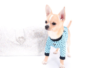 Liam Marcus Teacup Short Muzzle SC Boy