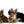Adele Extreme Short Muzzle Doll Face Micro Girl