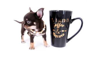 Aurora Micro SC Chocolate Green Eyes