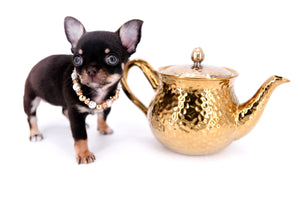 Aurora Micro SC Chocolate Green Eyes