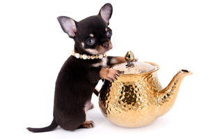 Aurora Micro SC Chocolate Green Eyes