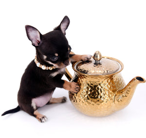 Aurora Micro SC Chocolate Green Eyes