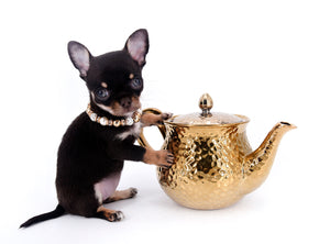 Aurora Micro SC Chocolate Green Eyes