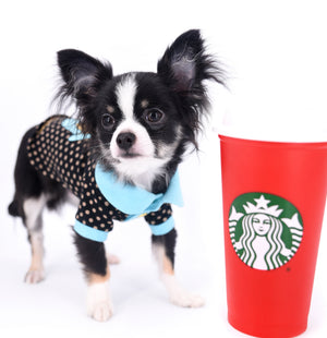 Pretty Lilo Teacup and loving boy.
