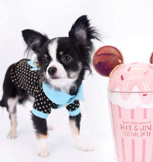 Pretty Lilo Teacup and loving boy.