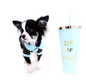 Pretty Lilo Teacup and loving boy.