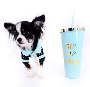 Pretty Lilo Teacup and loving boy.