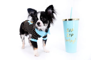 Pretty Lilo Teacup and loving boy.
