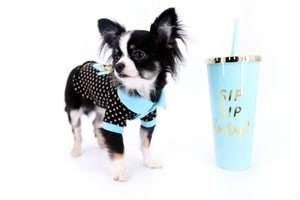Pretty Lilo Teacup and loving boy.