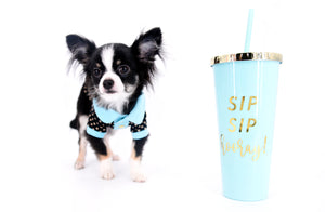 Pretty Lilo Teacup and loving boy.