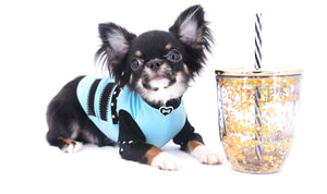 Birkin Doll  Extreme Short Muzzle Boy