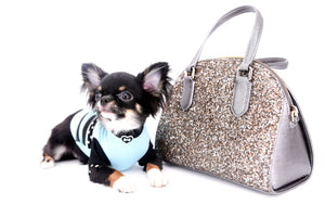 Birkin Doll  Extreme Short Muzzle Boy