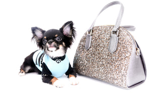 Birkin Doll  Extreme Short Muzzle Boy