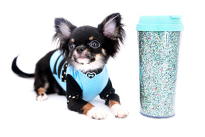 Birkin Doll  Extreme Short Muzzle Boy