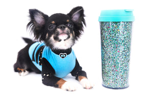 Birkin Doll  Extreme Short Muzzle Boy