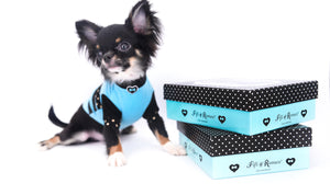 Birkin Doll  Extreme Short Muzzle Boy