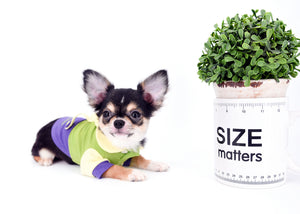 Lil Bsby Micro