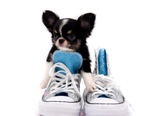 Adonis Extreme Doll Face Boy