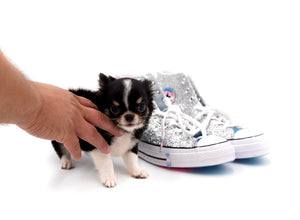 Adonis Extreme Doll Face Boy