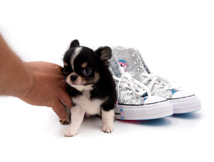 Adonis Extreme Doll Face Boy