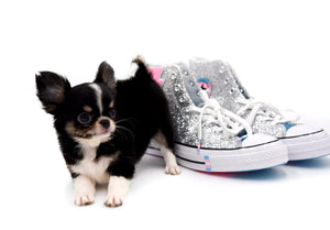 Adonis Extreme Doll Face Boy