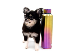 Micro Tricolor Camille