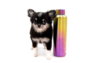 Micro Tricolor Camille