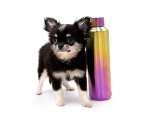 Micro Tricolor Camille