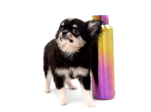 Micro Tricolor Camille