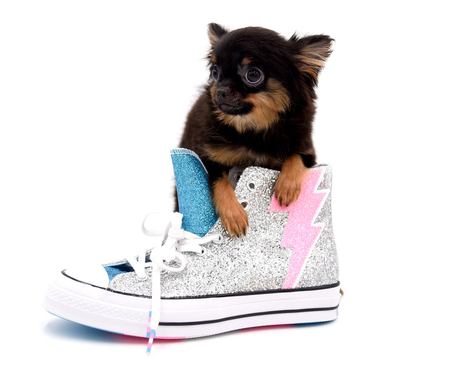 Carrie Micro Teacup LC Girl