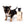 Hannah Micro Extreme Short Muzzle Girl