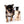 Hannah Micro Extreme Short Muzzle Girl