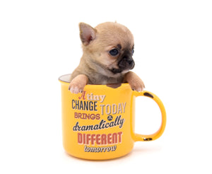 Melody Micro Teacup Sable Girl