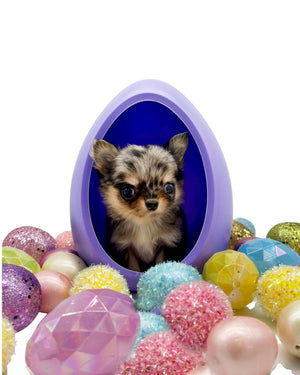 Chanel Micro Blue Merle Girl