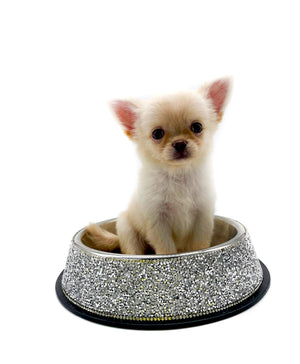 Luna LC Girl